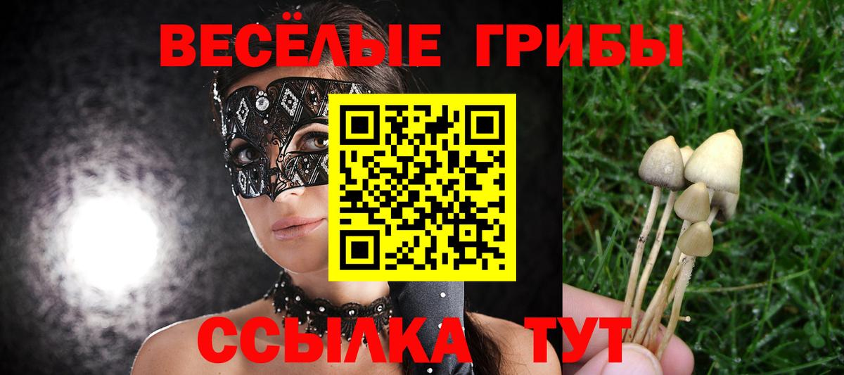 Псилоцибиновые грибы Psilocybine cubensis Орехово-Зуево