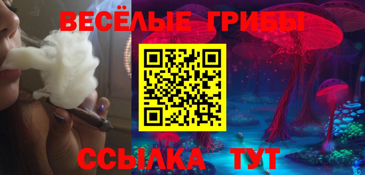 Орехово-Зуево  Псилоцибиновые грибы Magic Shrooms  что такое   Вход с VPN 